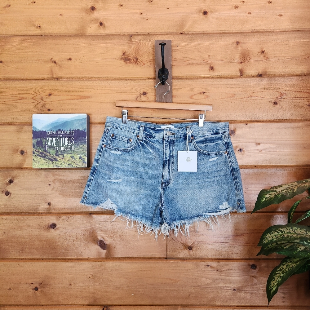 Pistola‎ 💜 NWT Nova Bowery Relaxed Distress High Rise Cut Off Raw Hem Shorts 32
